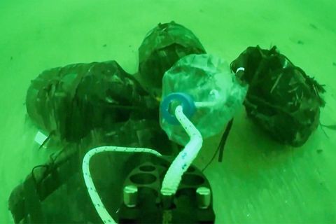Taucher finden Säcke mit 100 Kilo Kokain – Video zeigt filmreife Festnahme
