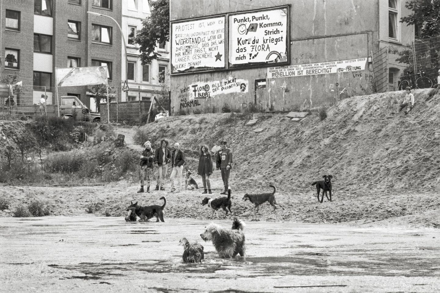 Punks und ihre Hunde am Flora-See