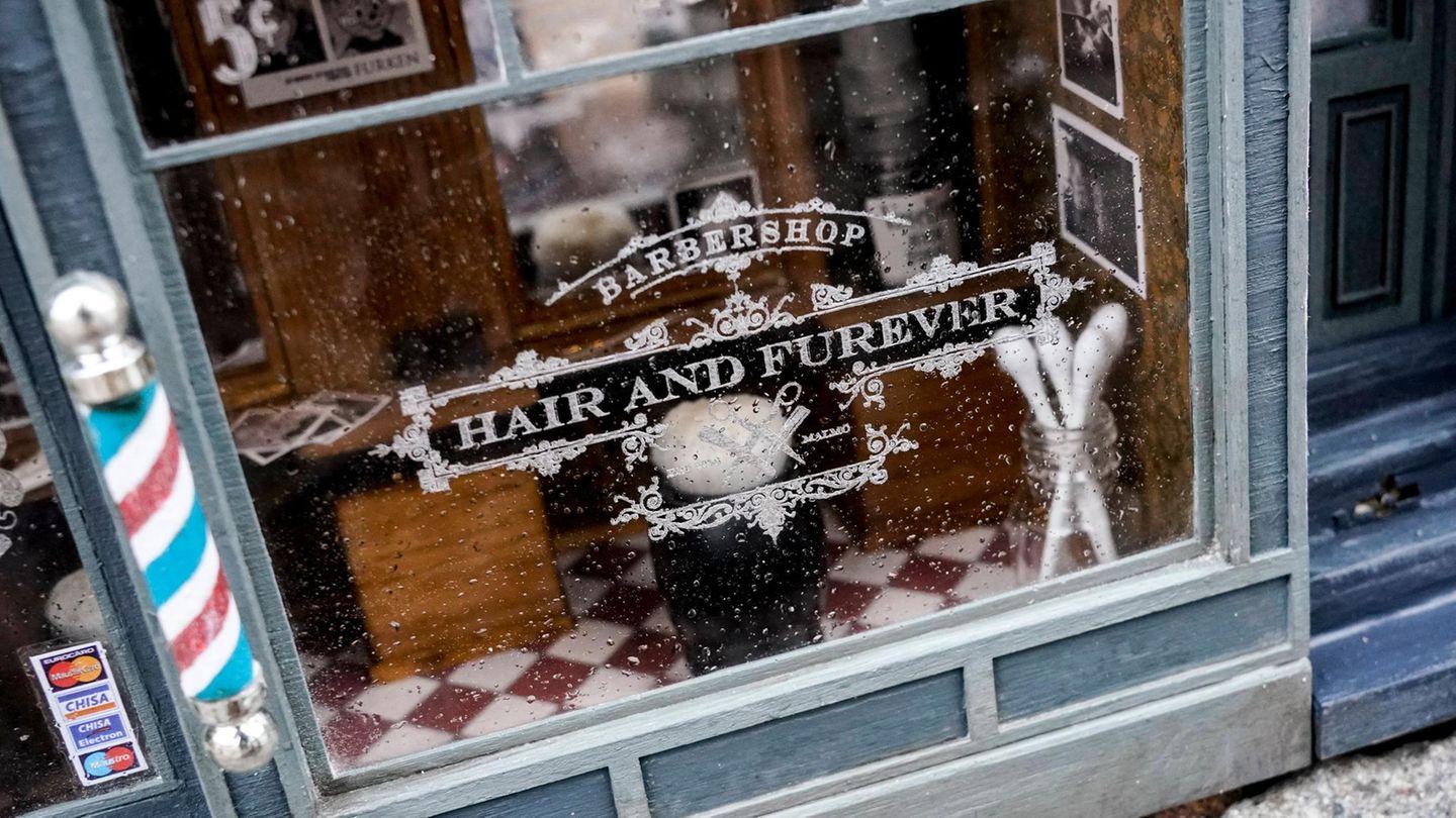 Wie bei uns Menschen haben auch in der Welt der Mäuse Friseursalons seltsame Namen. Dieser Barbershop für die kleinen Nager heißt "Hair and Furever"