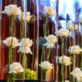 Weiße Rosen erinnern im Congress Park von Hanau an die Opfer des Anschlages