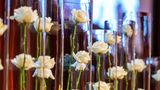 Weiße Rosen erinnern im Congress Park von Hanau an die Opfer des Anschlages