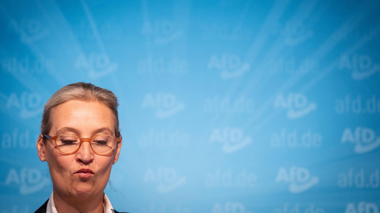 AfD-Chefin Alice Weidel