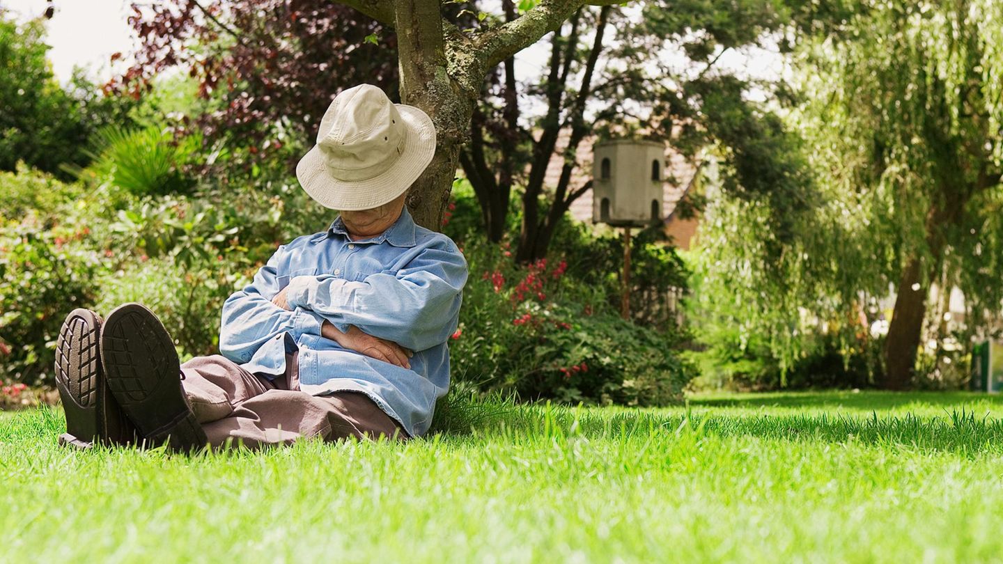 Pension without a job: How much do you get if you have not paid in?