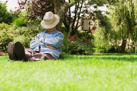 Alter Mann sitzt auf einer Wiese an einen Baum gelehnt: Hat er Anspruch auf Rente ohne Arbeit?