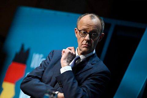 Friedrich Merz hat die Stirn in Falten gelegt