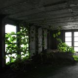 Pflanzen auf SS United States-Wrack