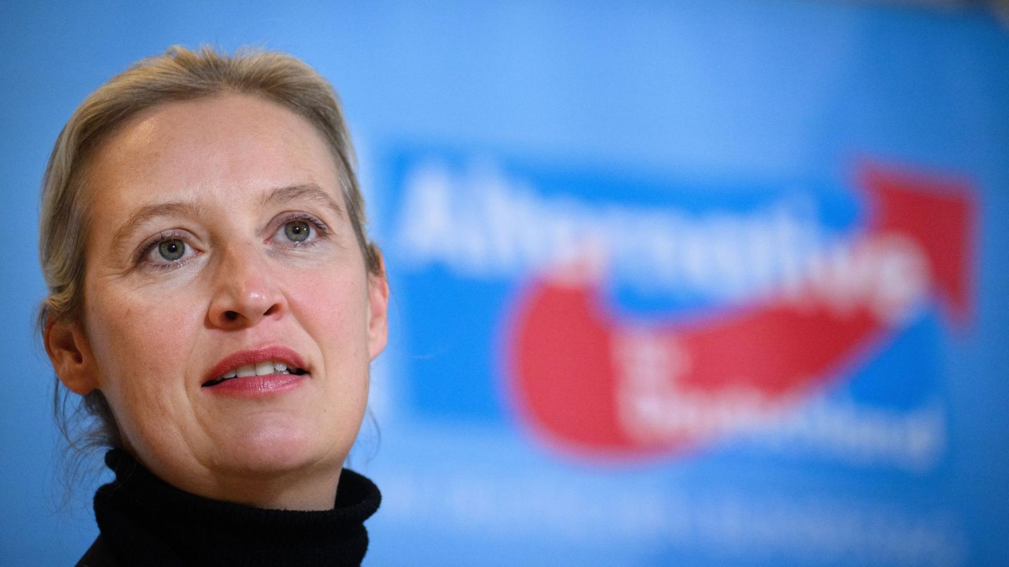 Alice Weidel und die Frage nach dem Wohnsitz.