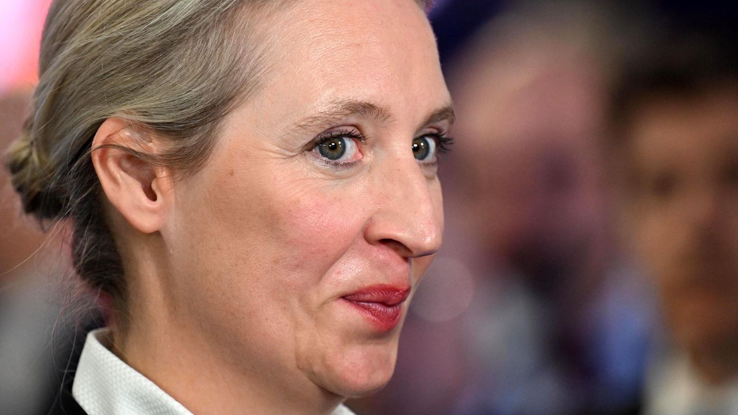 Alice Weidel will die AfD bis 2029 anschlussfähig für eine Regierungsbeteiligung machen