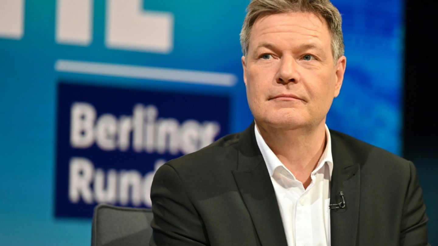 Habeck in der "Berliner Runde"