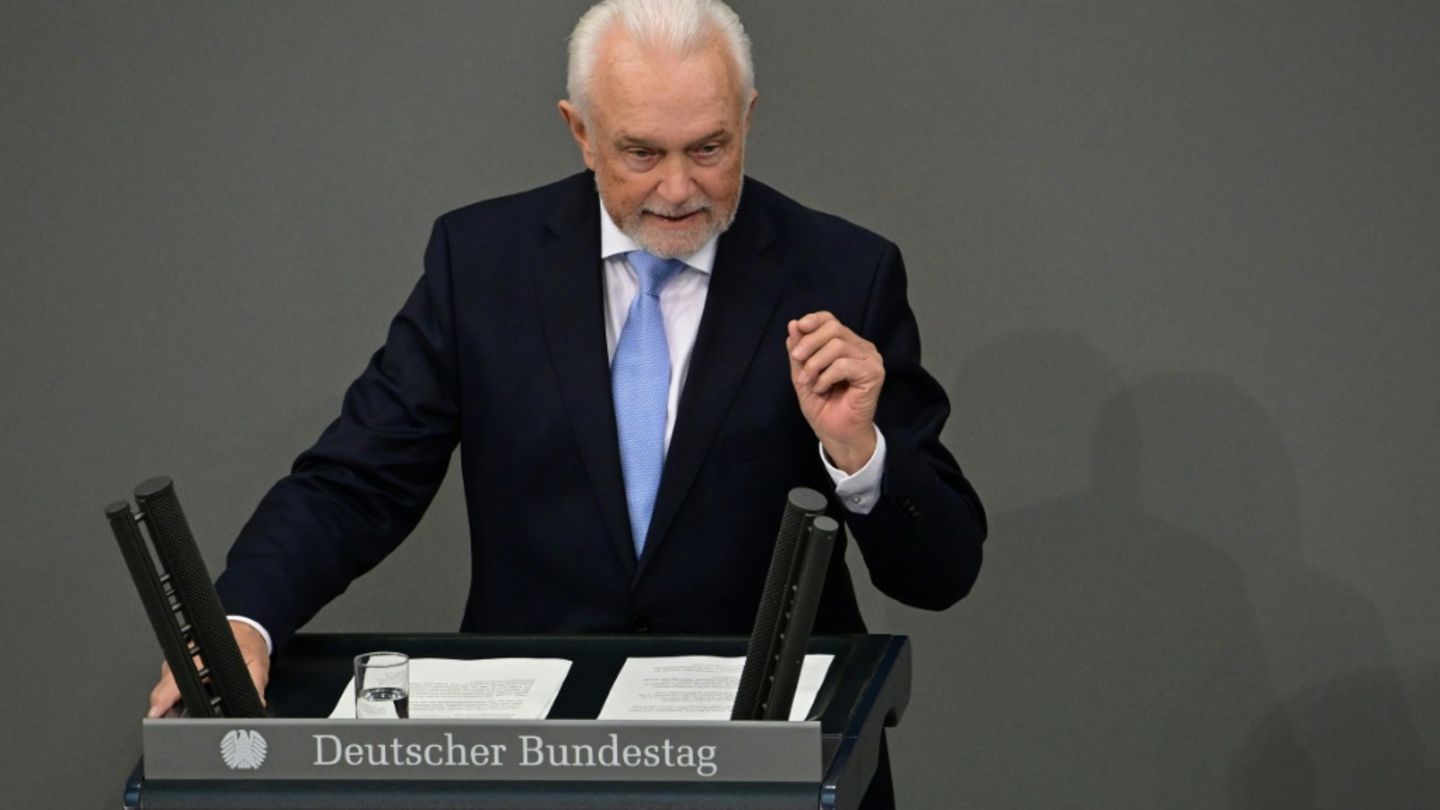 Wolfgang Kubicki im Bundestag