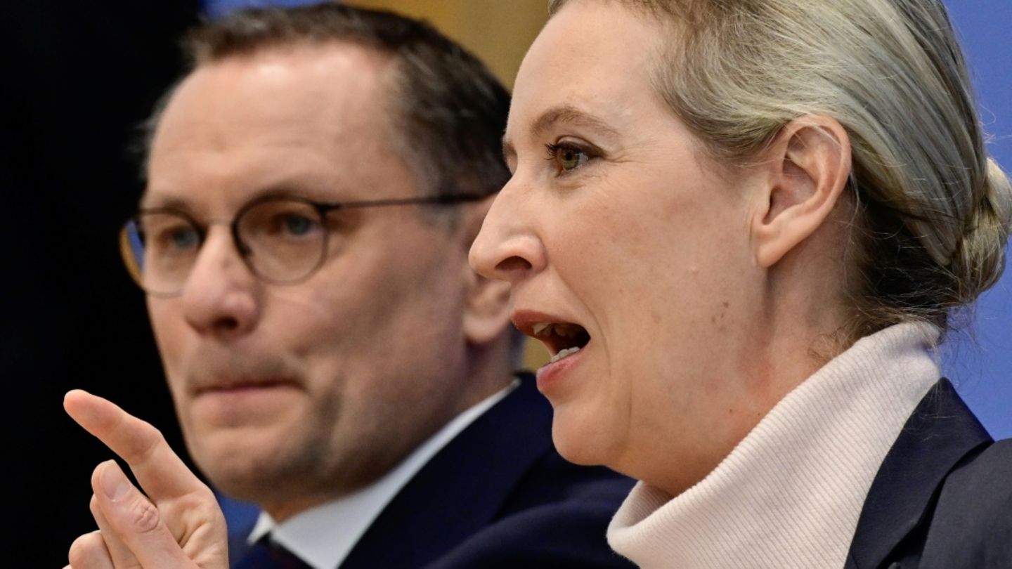 Alice Weidel und Tino Chrupalla