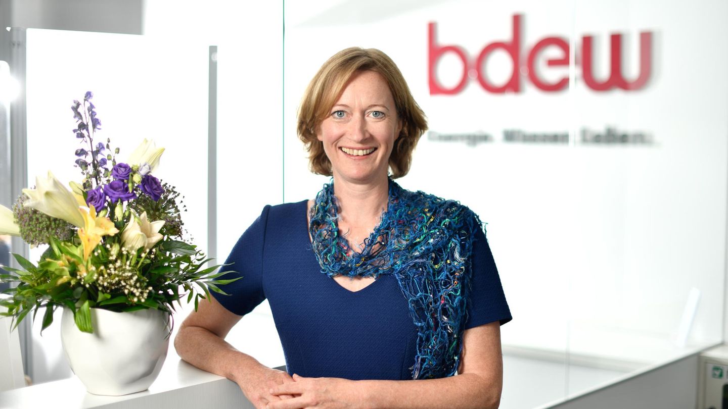 Kerstin Andreae steht im blauen Kleid vor dem bdew-Schriftzug