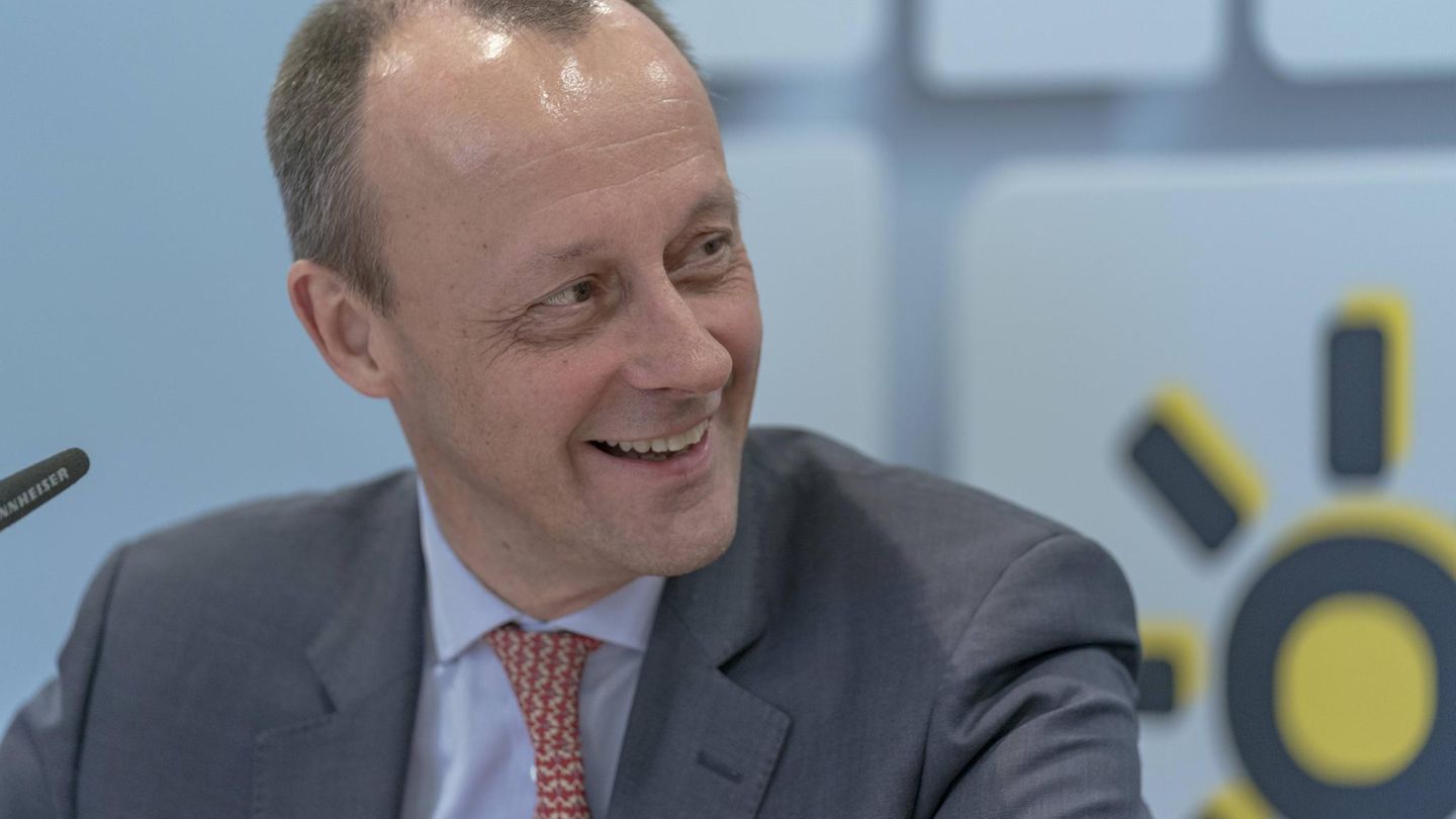 Friedrich Merz Politiker spricht