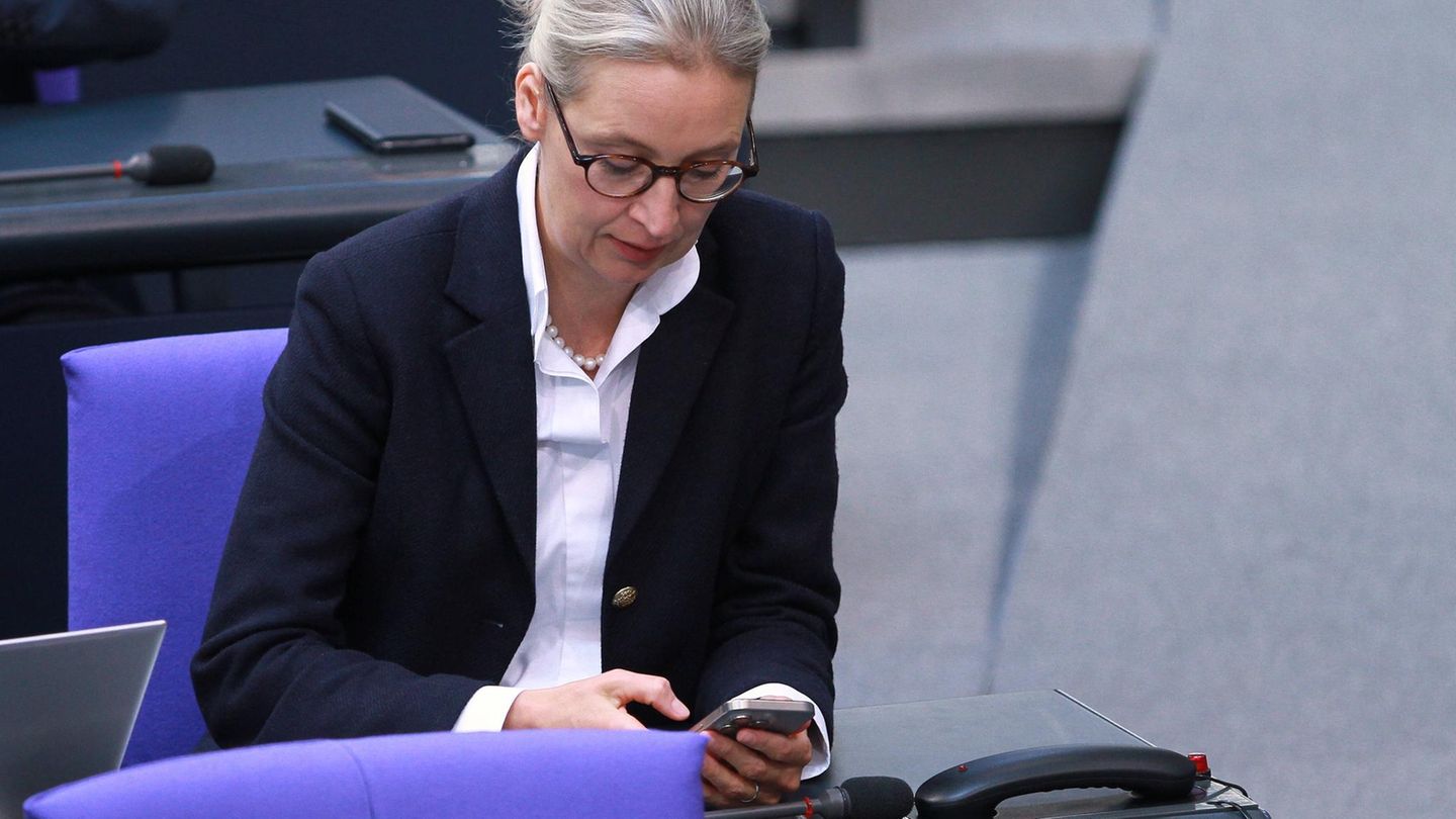AfD congratulations from ex-Bavaria and a musk call for Weidel