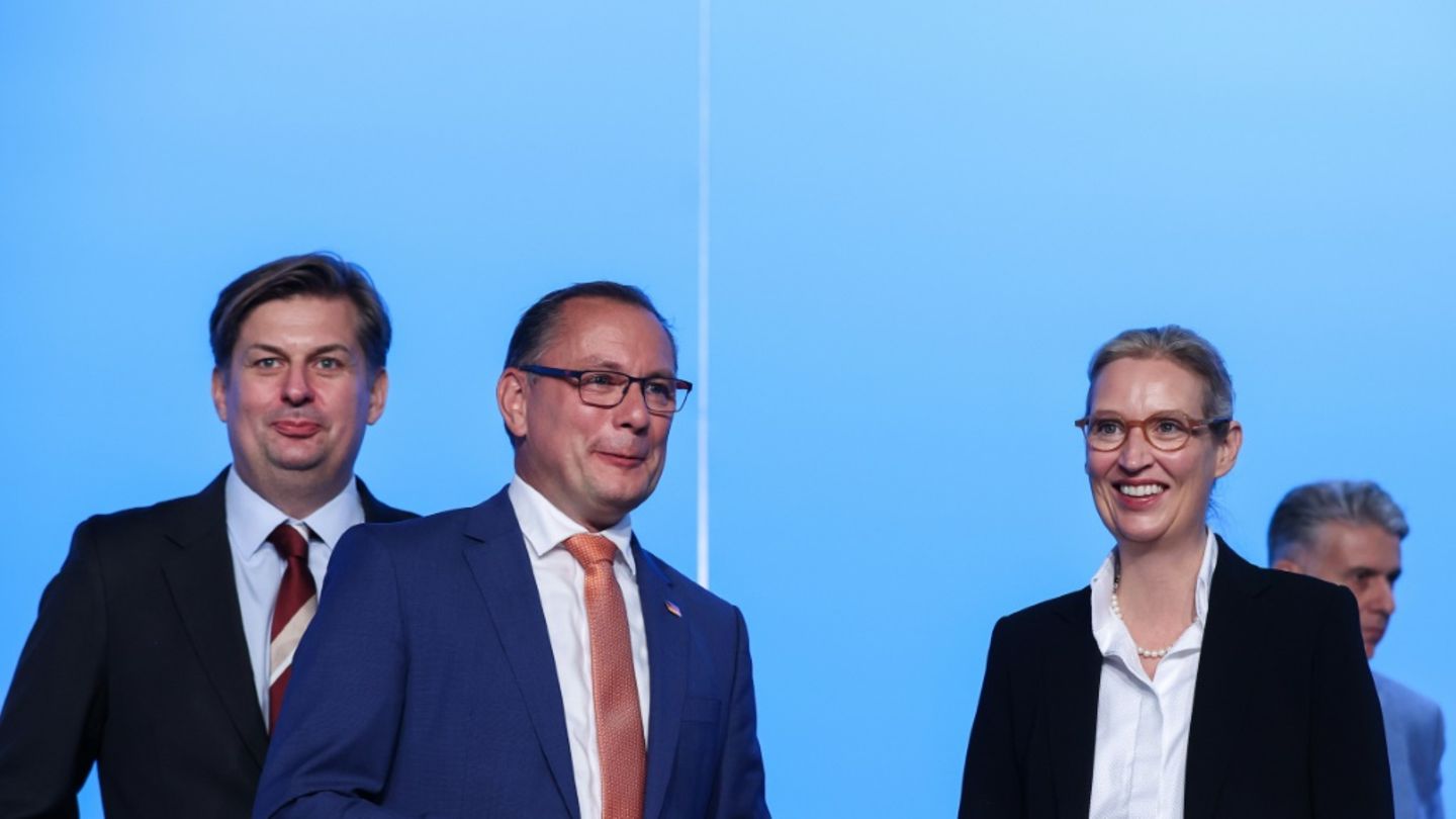 Krah, Chrupalla und Weidel