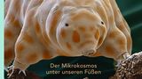 Buchcover mit Bärtierchen