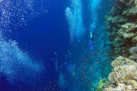 Rotes Meer: Taucher neben einem Korallenriff im Blue Hole