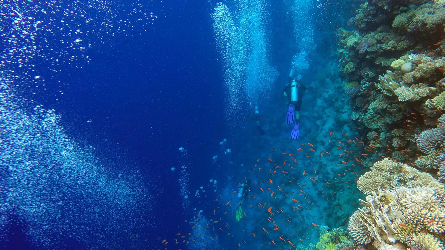 Blue-Hole-im-Roten-Meer-Nirgendwo-ist-Tauchen-so-faszinierend-Und-endet-so-h-ufig-t-dlich