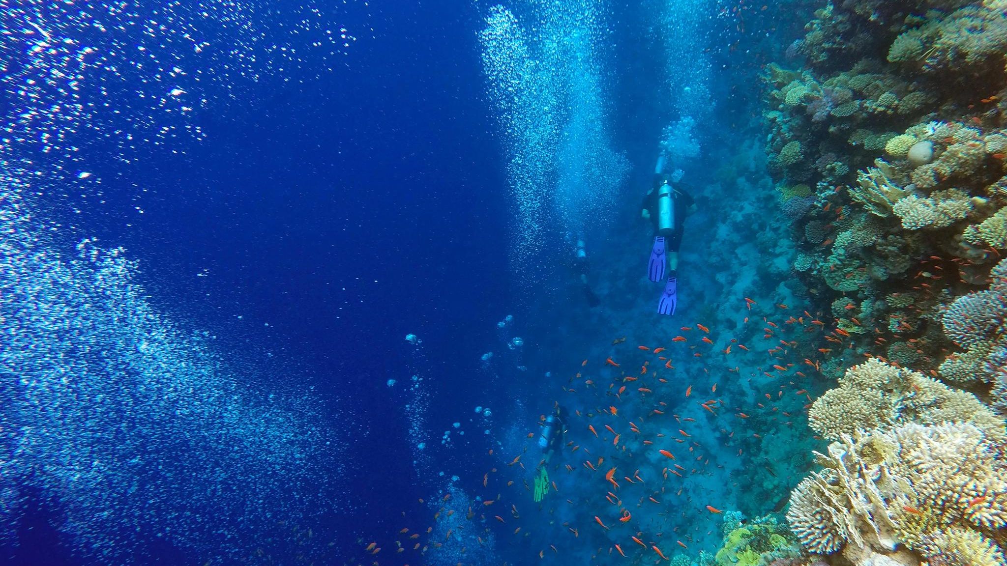 Rotes Meer: Taucher neben einem Korallenriff im Blue Hole
