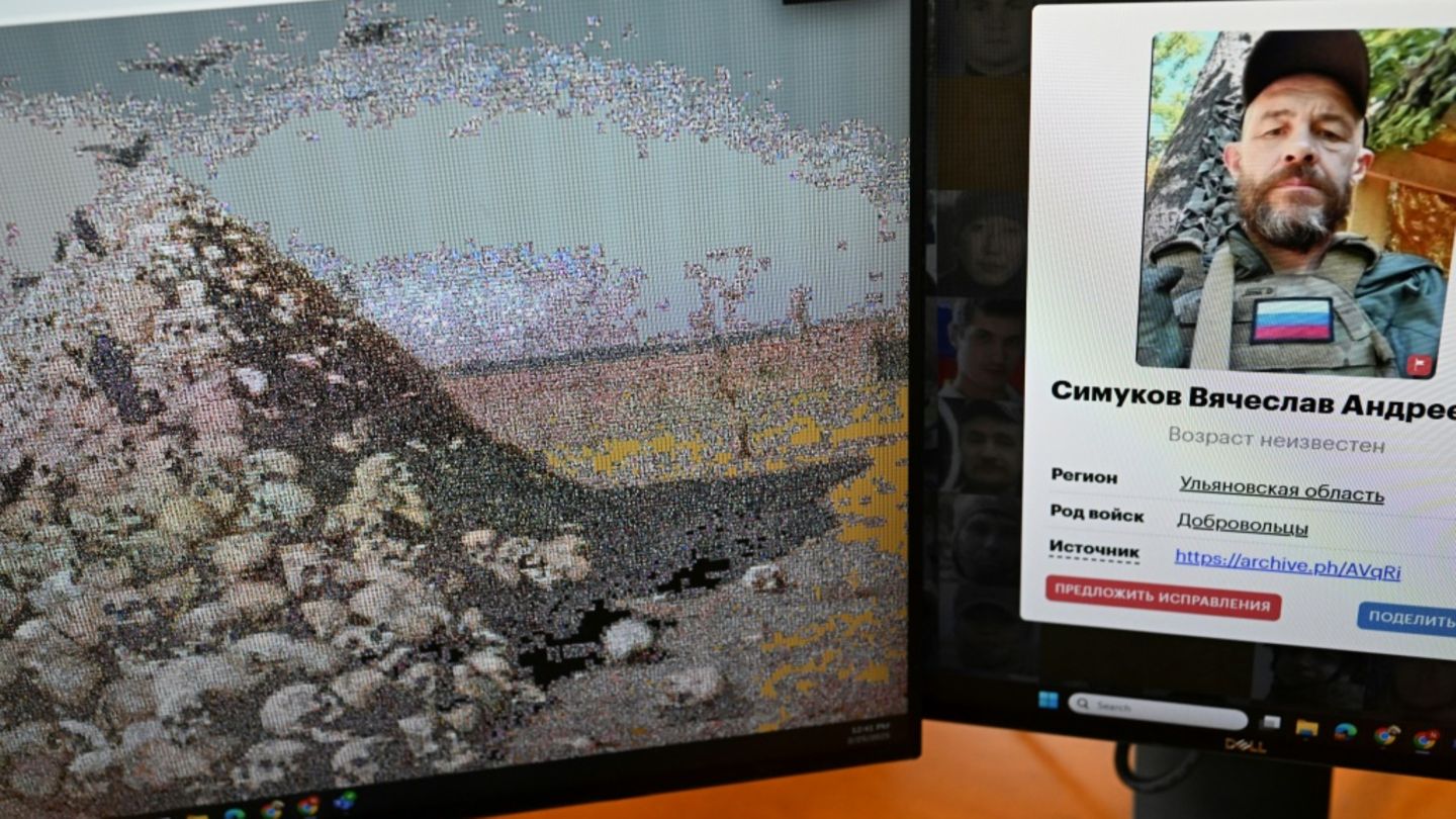Screenshot von Mediasona-Website