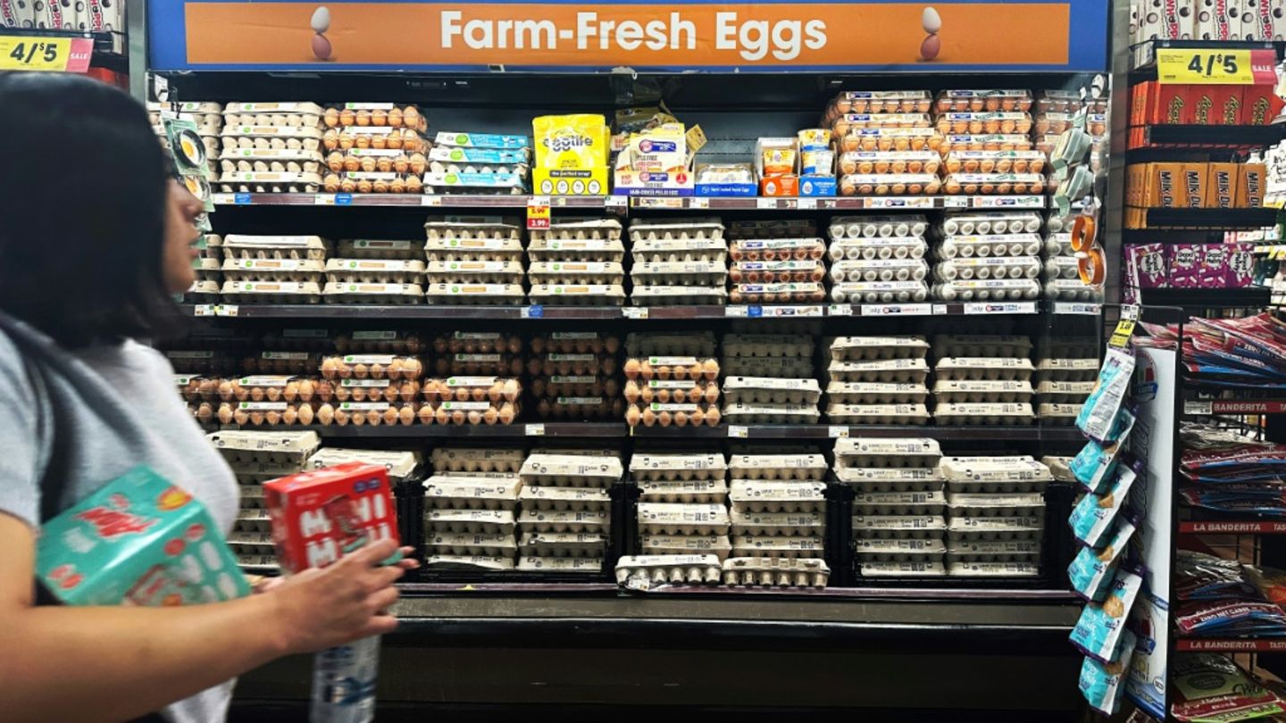 Eier in kalifornischem Supermarkt