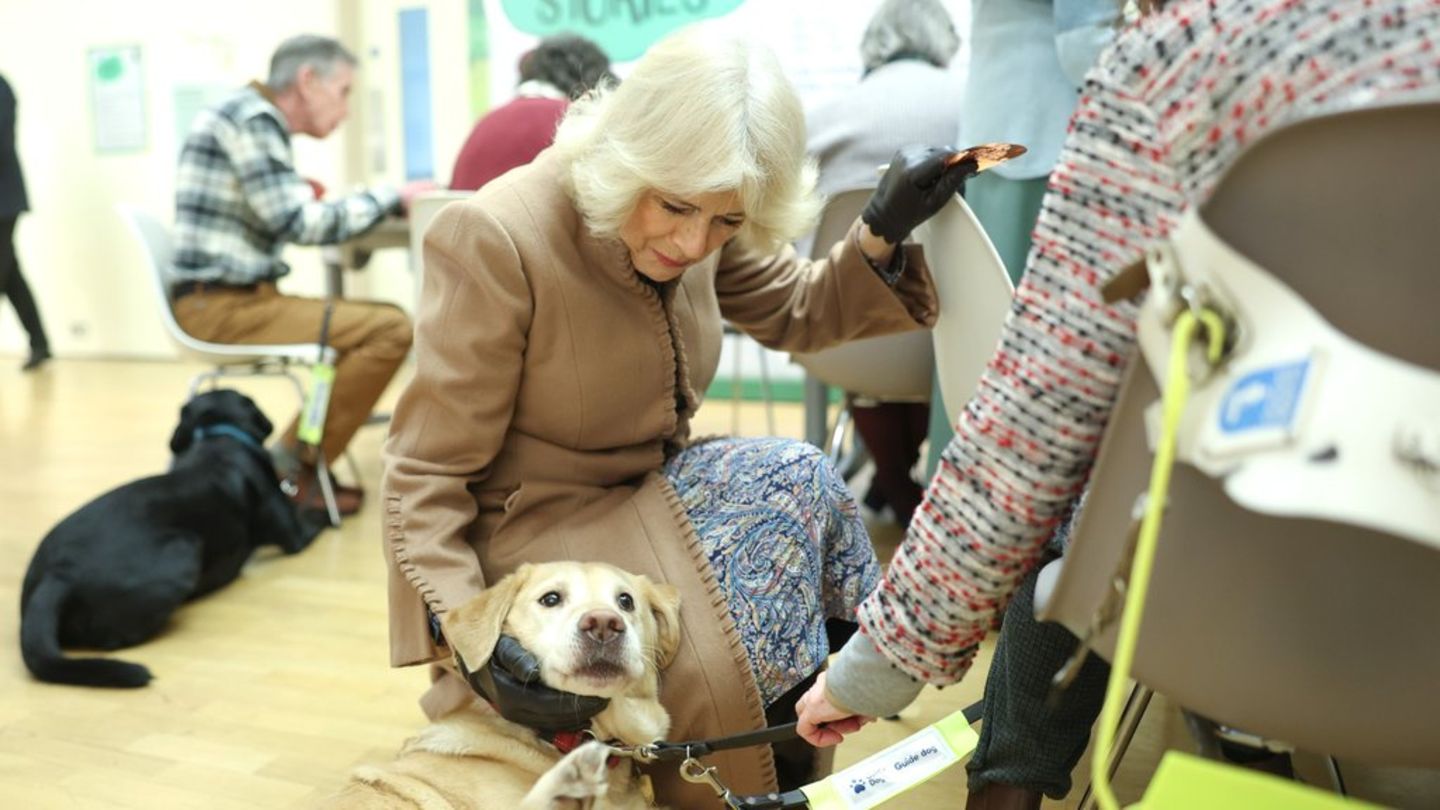 Königin Camilla kuschelt mit einem Blindenhund