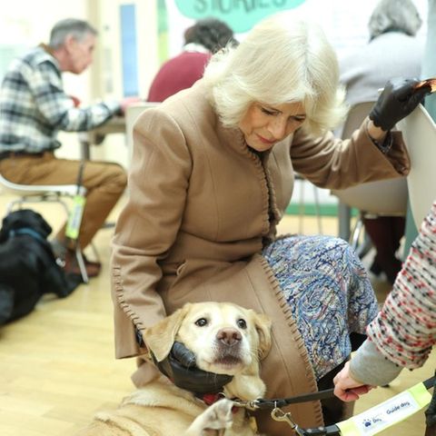 Königin Camilla kuschelt mit einem Blindenhund