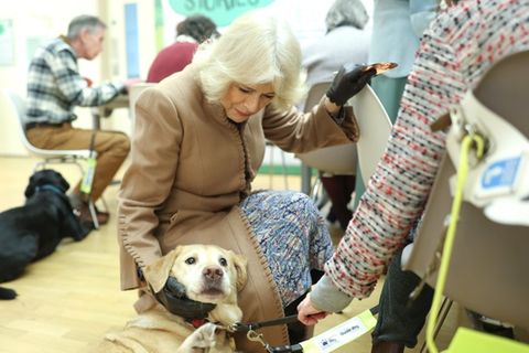 Königin Camilla kuschelt mit einem Blindenhund