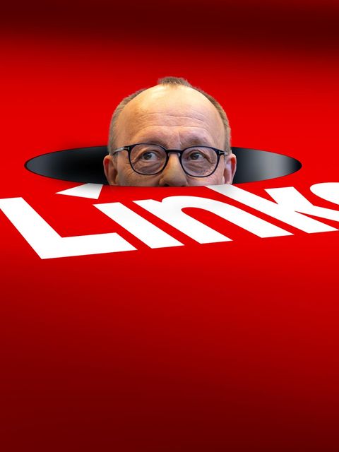 Friedrich Merz und die Linke