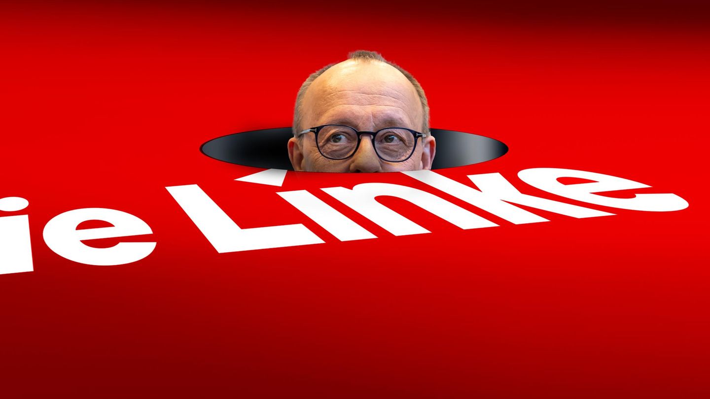 Friedrich Merz und die Linke