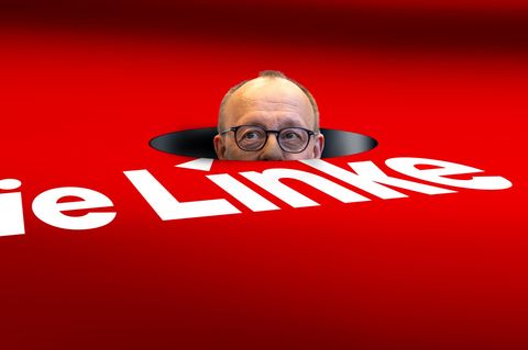 Friedrich Merz und die Linke