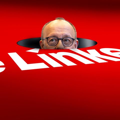 Friedrich Merz und die Linke