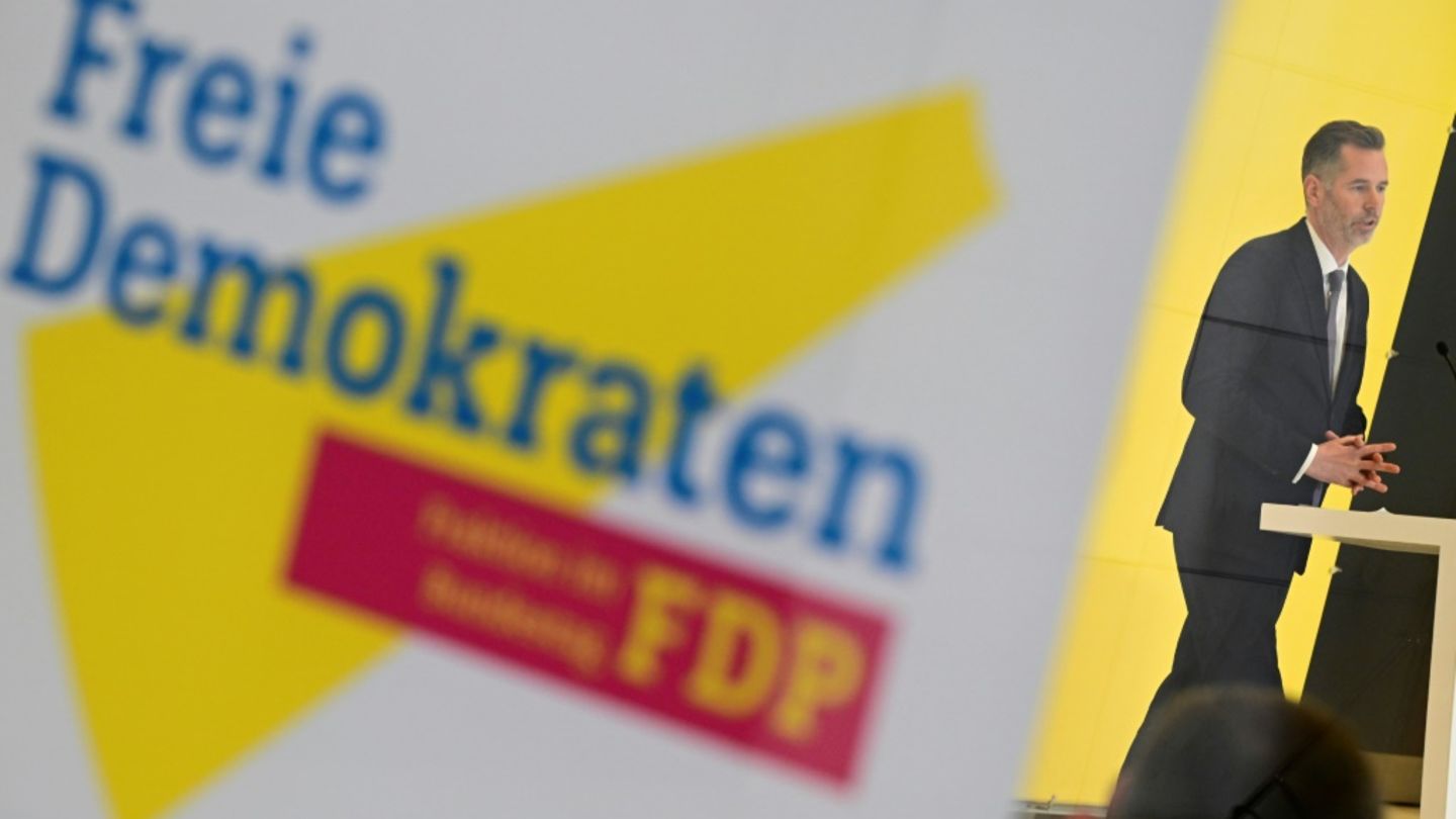 FDP-Fraktionschef Dürr