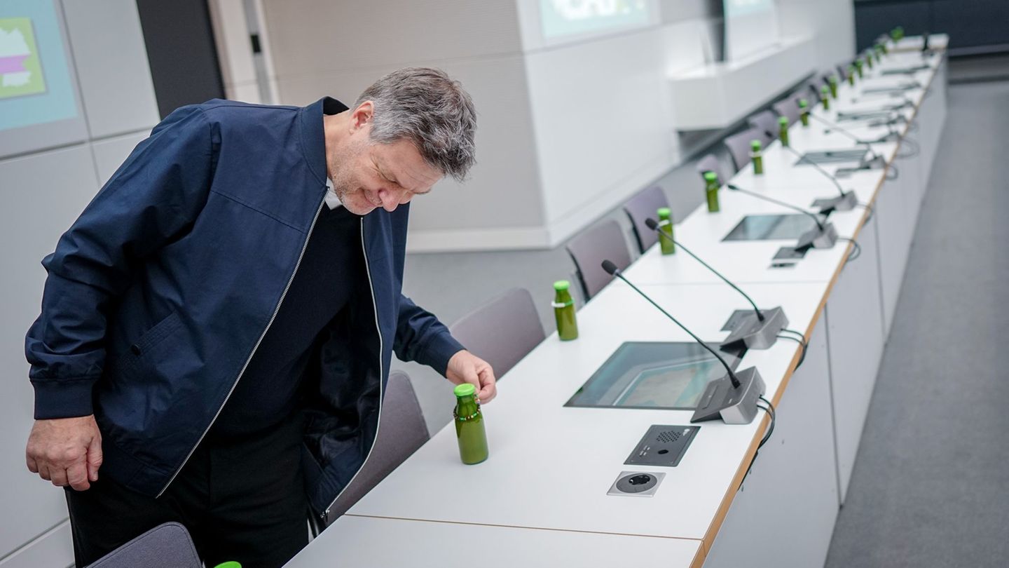 Grüne: Habeck bleibt im Bundestag