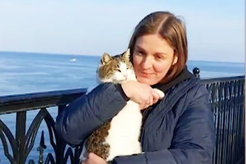 Berühmte Krim-Katze überlebt 40-Meter-Sturz ins M