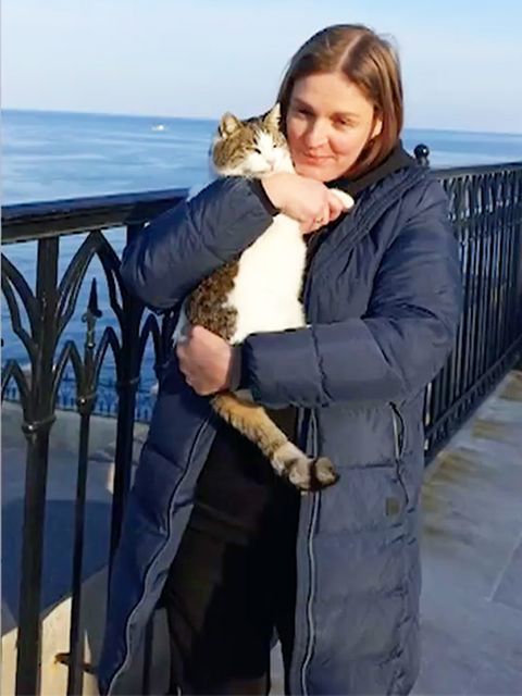 Berühmte Krim-Katze überlebt 40-Meter-Sturz ins M