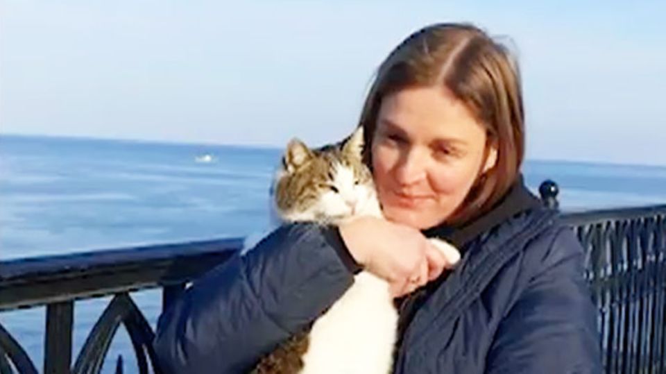 Berühmte Krim-Katze überlebt 40-Meter-Sturz ins M