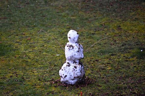Kein Schnee: Milde Temperaturen dominieren den Winter in Deutschland zum 14. Mal in Folge