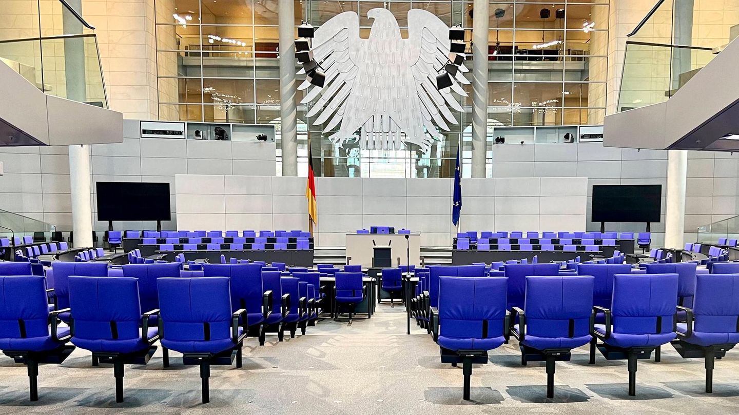 Bundestag election 2025: This is what the new parliament looks like