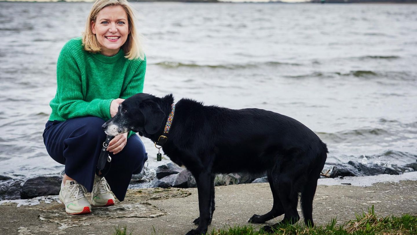 Serie: Fell, Chaos, Liebe: Warum ich Hündin Lyra erst nicht wollte und heute schrecklich vermisse