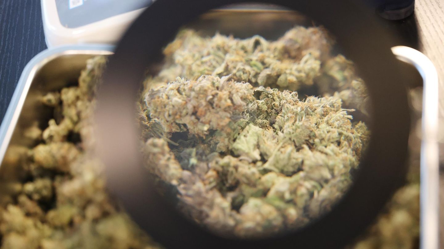 Union will Cannabisgesetz ändern