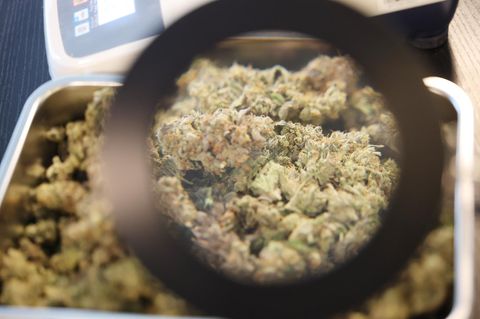 Union will Cannabisgesetz ändern