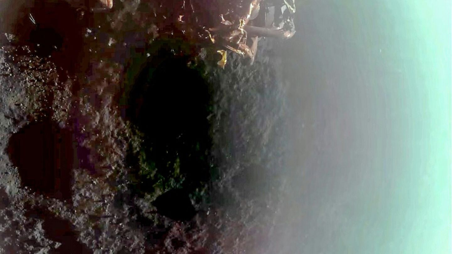 Der Mondlander "Blue Ghost" bei seiner Landung
