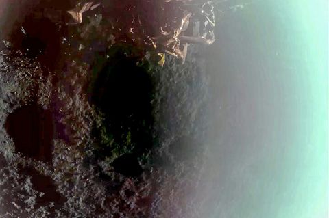 Der Mondlander "Blue Ghost" bei seiner Landung