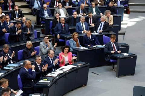 Fraktionen von Union und AfD im Bundestag