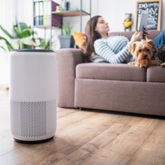 Junge Frau im Wohnzimmer, die einen Luftreiniger für zu Hause einrichtet