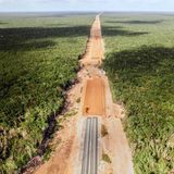 Mexiko: Abschnitt 5 der Eisenbahn im Baujahr 2023 durchquert den Dschungel der Halbinsel