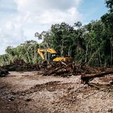 Abschnitt 5 der Eisenbahn im Baujahr 2023 durchquert den Dschungel der Halbinsel