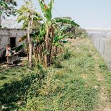 Das Dorf Guadalupe bei Palenque