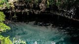 Ein Cenote im Karibik-Dschungel